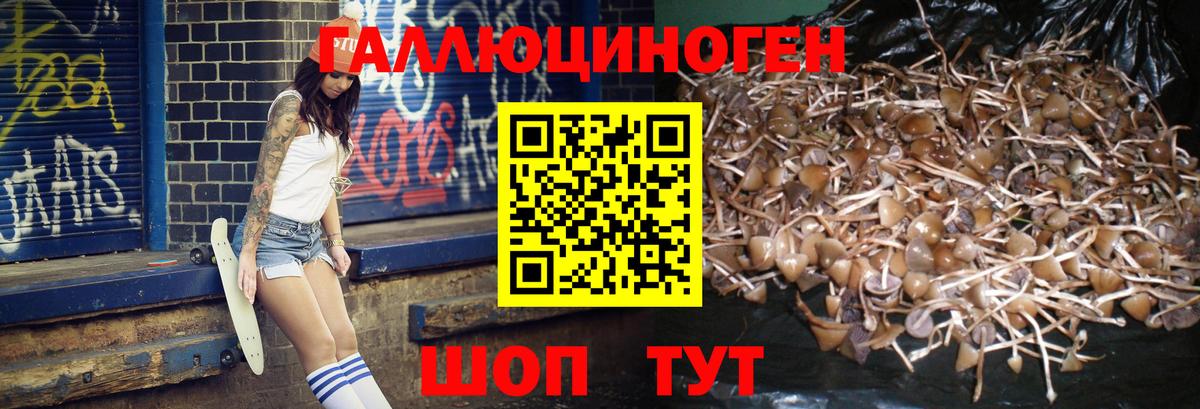 Псилоцибиновые грибы прущие грибы  Псилоцибиновые грибы Psilocybine cubensis  Вход с VPN  Каменск-Шахтинский 