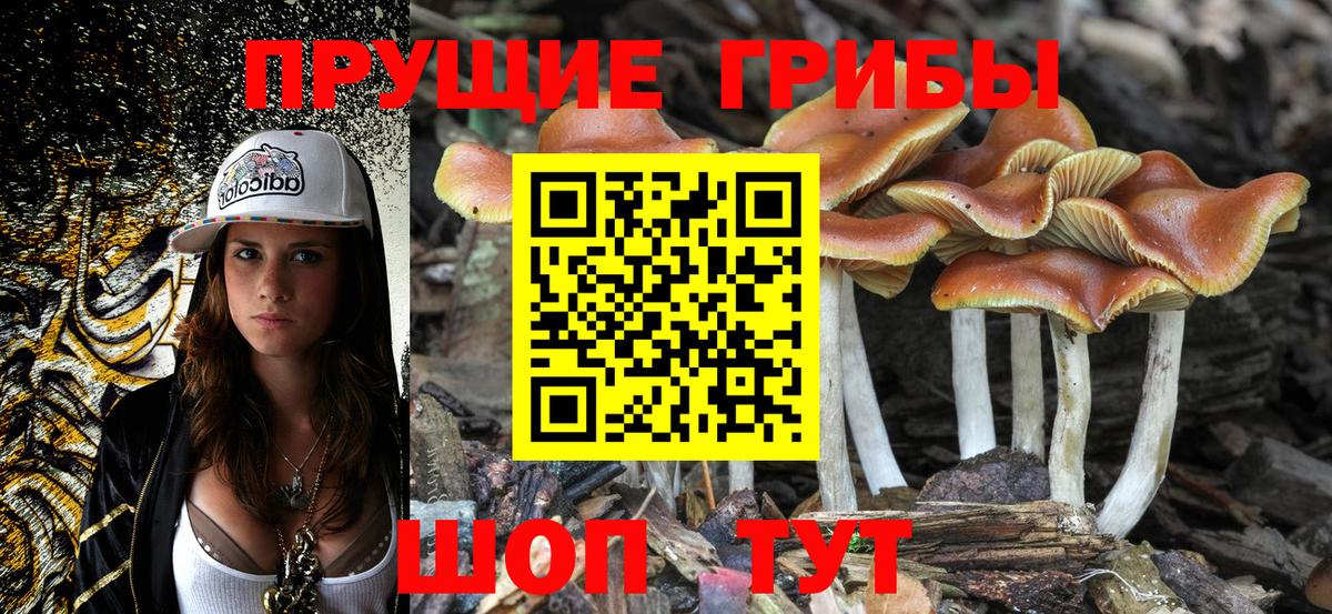 Галлюциногенные грибы мухоморы Каменск-Шахтинский